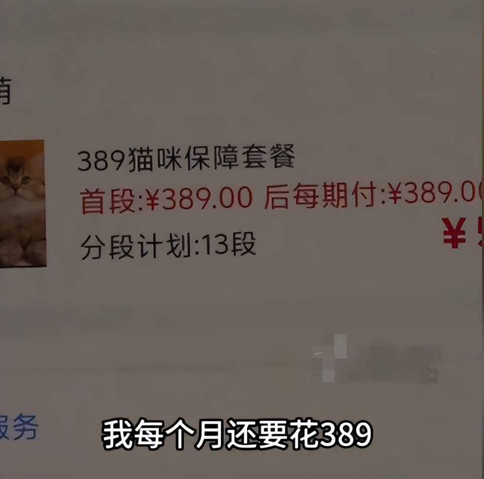 女子免費領養貓咪陷入“貓貸”糾紛