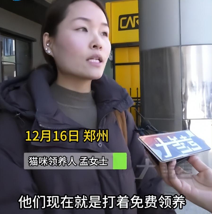 女子免費領養貓咪陷入“貓貸”糾紛