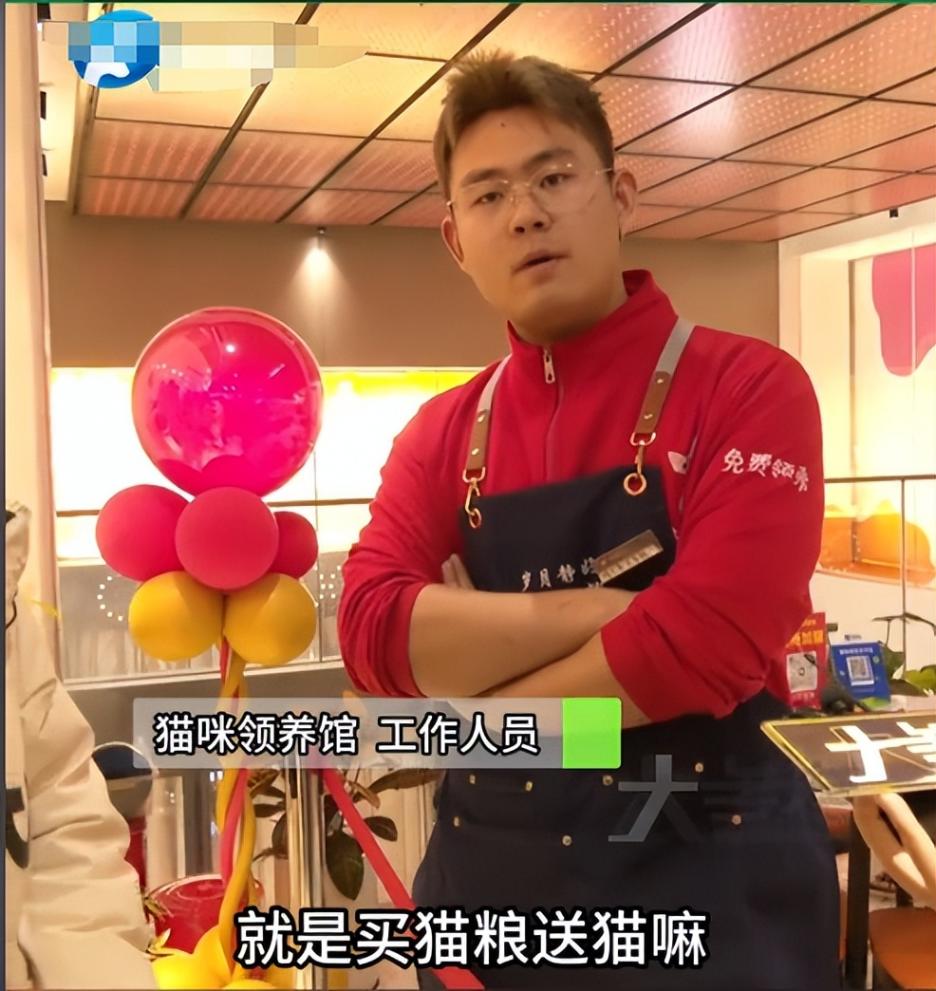 女子免費領養貓咪陷入“貓貸”糾紛