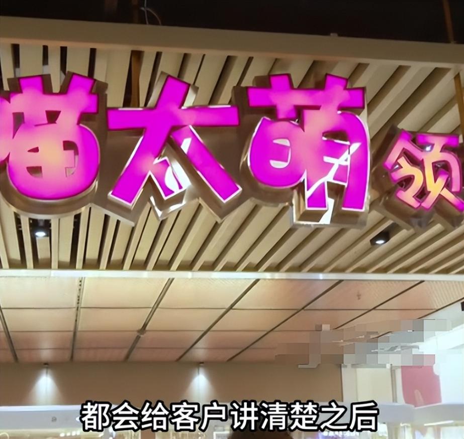 女子免費領養貓咪陷入“貓貸”糾紛