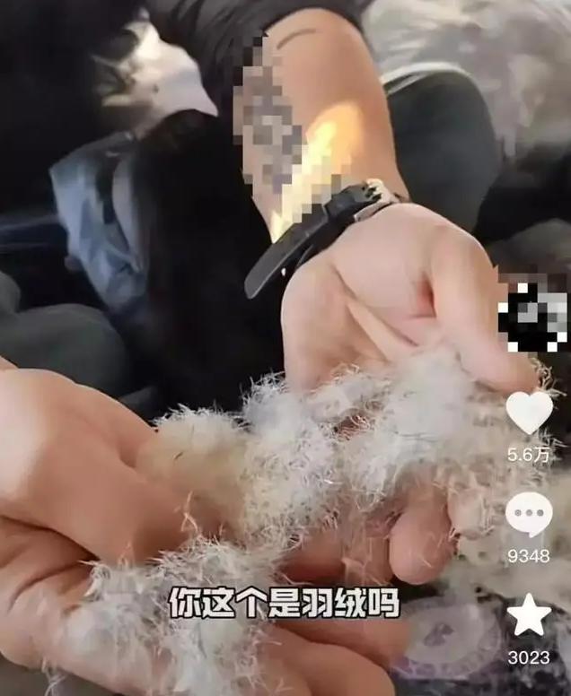 二手羽毛球變一手羽絨服