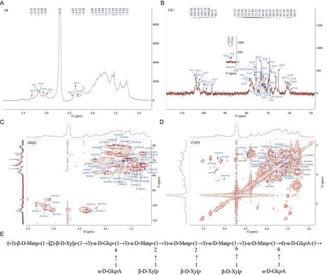 科學新證:粉木耳能延緩細胞衰老 科學新證:粉木耳能延緩細胞衰老 粉色木耳多糖展現抗衰老潛力