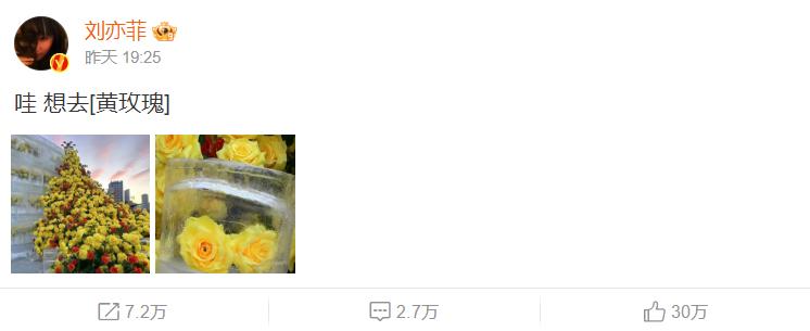 吸引劉亦菲的冰封黃玫瑰3.5小時制成