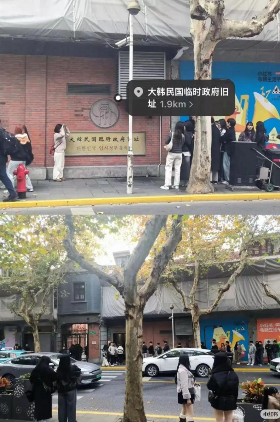 韓國(guó)年輕人“特種兵旅游”擠滿上海