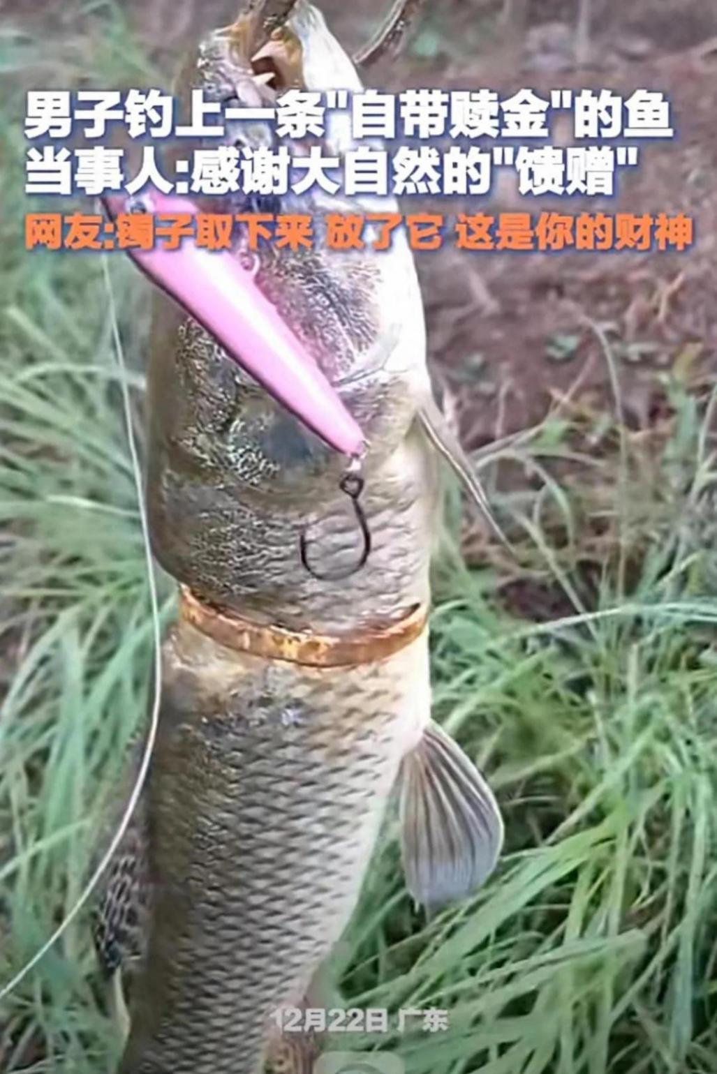 男子釣上一條自帶“贖金”的魚