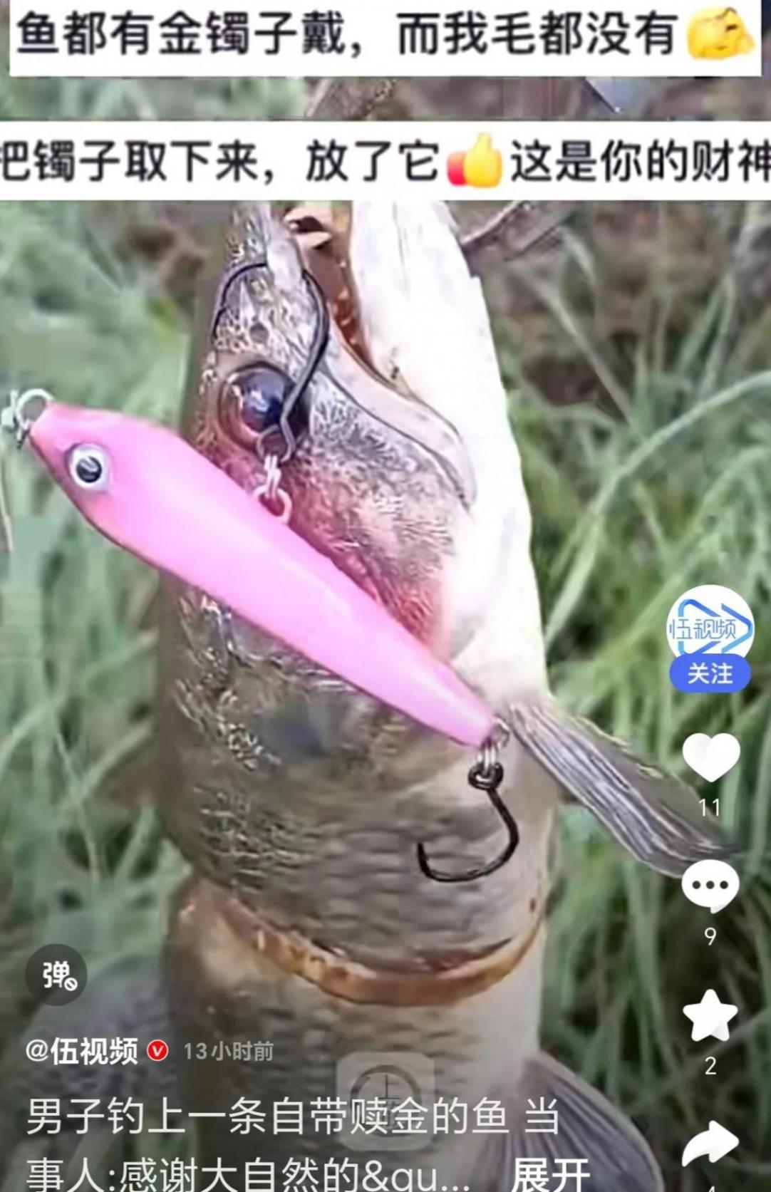 男子釣上一條自帶“贖金”的魚