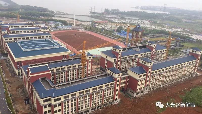 湖北高中“瑯琊榜”:哪所才是你的夢中情“校”