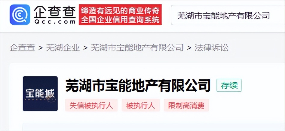 評(píng)估價(jià)超2.1億!蕪湖一開發(fā)商名下400套房產(chǎn)被拍賣