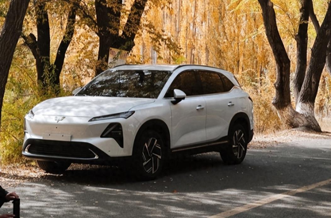五菱星光S:從綜藝舞臺駛向千家萬戶的家用 SUV “寶藏車”